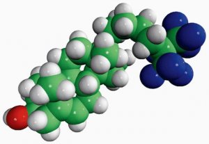 F7-Cholesterol 700002P-5MG