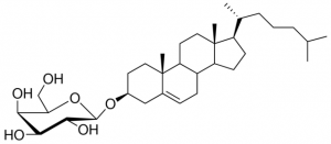 Galactosyl Cholesterol 