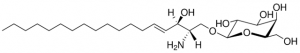Galactosyl() Sphingosine (d18:1) 
