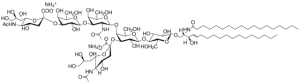 Ganglioside GD1a 