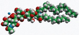 Ganglioside GM3 (Bovine Milk) 