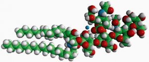 Ganglioside-Total 