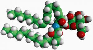 Glucosylceramide (Soy) 