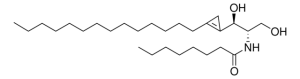 GT-11 857395P-1MG