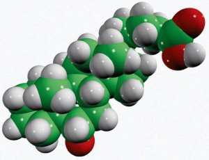 Hyocholic acid 700159P-5MG