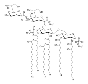 Kdo2-Lipid A (KLA) 699500P-1MG