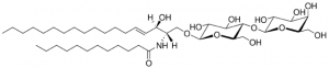 Lactosyl () C12 Ceramide LM2512-1EA