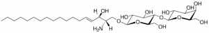 Lactosyl() Sphingosine (d18:1) 