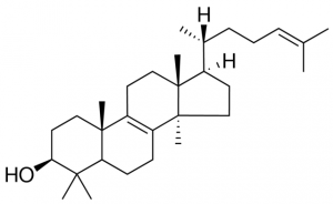 lanosterol 