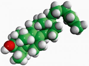 lanosterol 