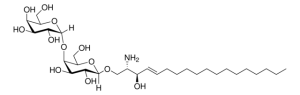 Lyso GA2 860953P-500UG