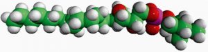 Lyso PAF (from Heart PC) 840008C-5MG