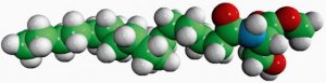 N-16:0 L-Serine MeEster 800730P-5MG