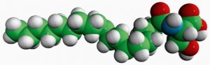 N-18:1 L-Serine 800741P-5MG