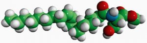 N-18:1 L-Serine MeEster 800731P-5MG