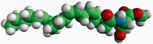 N-20:4 L-Serine MeEster 800732C-5MG