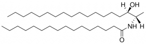 N-C16-deoxysphinganine 