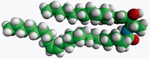 N-C24:1-deoxysphingosine 860457P-1MG