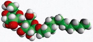 n-dodecyl--D-maltoside (DDM) 
