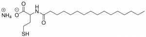 N-palmitoyl homocysteine (PHC) 870320P-25MG