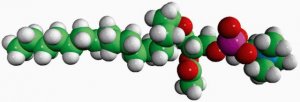 PAF (from Heart PC) 840009C-5MG