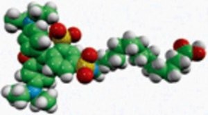 palmitic acid - lissamine rhodamine 810104P-1MG