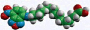 palmitic acid - NBD 810105P-1MG