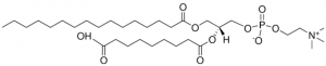 PAzePC 870600P-1MG