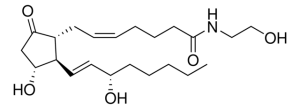PGE2-EA 900114P-5MG