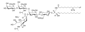 PhotoClick GM1 (synthetic) 