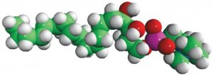 Phytosphingosine Phosphocholine 860603P-5MG