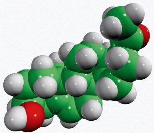pregnenolone 700142P-50MG