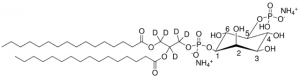 rac-16:0 PI(5)P-d5 