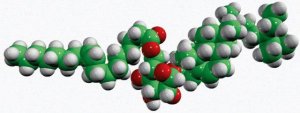 Sitoindoside II 700166P-1MG