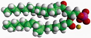 Soy PA 840074P-25MG