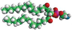Soy PE 840024C-25MG