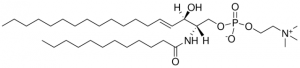 Sphingomyelin (d18:1/12:0) LM2312-1EA