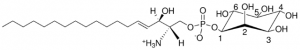 Sphingosyl PI (d18:1) 860616P-1MG