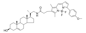 TopFluor TMR cholesterol 810385P-1MG