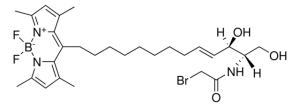 TopFluor-SOBRAC 810307C-250UG