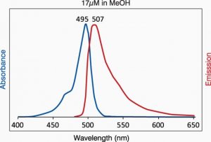 TopFluor Cholesterol 