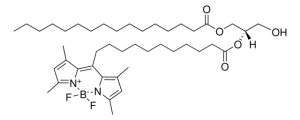 TopFluor DG 810300P-1MG