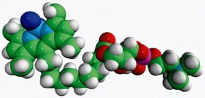 TopFluor Lyso PC 810284P-1MG