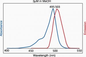 TopFluor Lyso PE 810285P-1MG