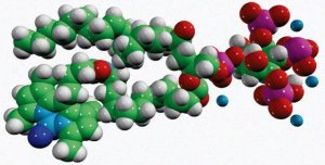 TopFluor PI(3,4,5)P3 810189P-50UG