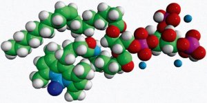 TopFluor PI(3,5)P2 810186P-50UG