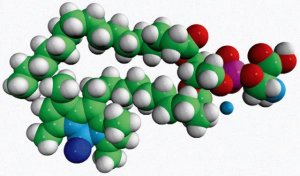 TopFluor PS 810283C-1MG