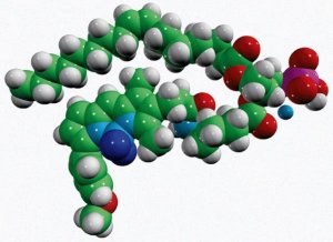 TopFluor TMR PA 810240C-1MG