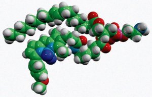 TopFluor TMR PE 810241C-1MG