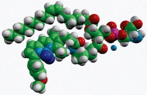 TopFluor TMR PS 810242C-1MG